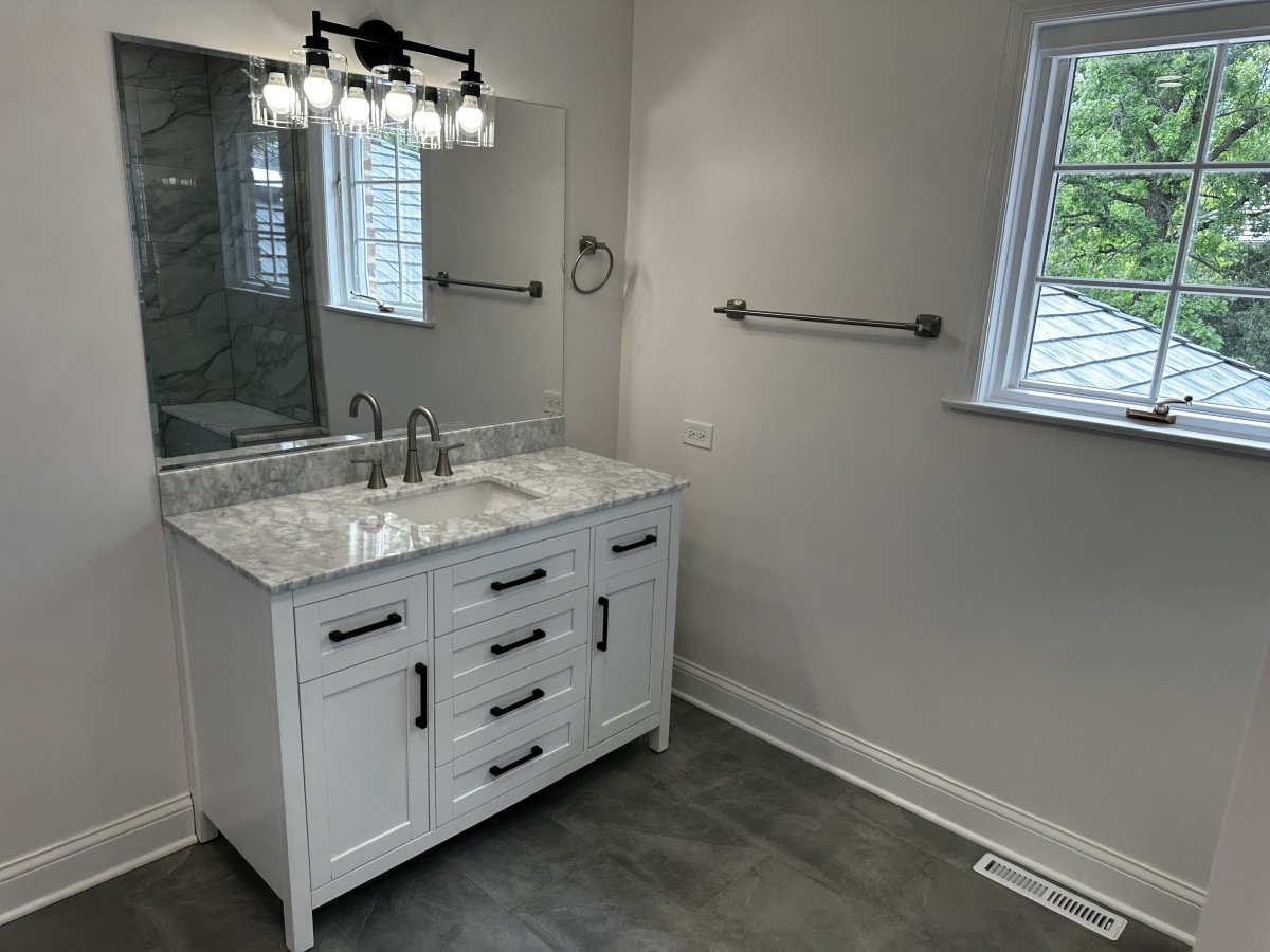 Modern Bathroom Transformation in Glen Ellyn, IL